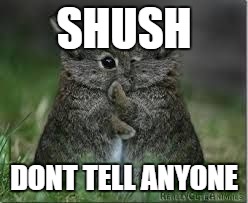 Shush Bunnies | SHUSH; DONT TELL ANYONE | image tagged in shush,wisper,bunnies,rabbit,animal,cute | made w/ Imgflip meme maker