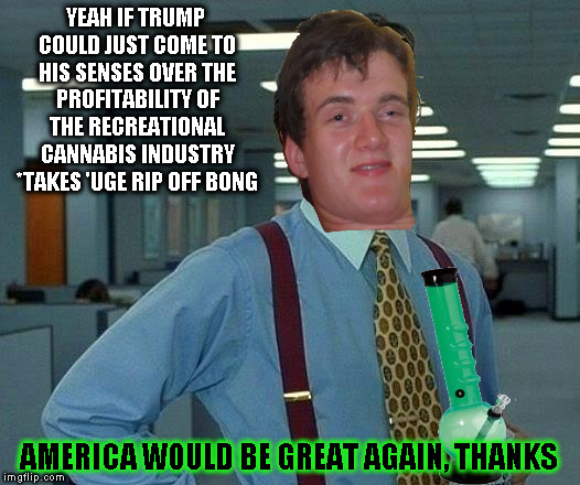 So far it's the only thing I disagree with him on | YEAH IF TRUMP COULD JUST COME TO HIS SENSES OVER THE PROFITABILITY OF THE RECREATIONAL CANNABIS INDUSTRY *TAKES 'UGE RIP OFF BONG; AMERICA WOULD BE GREAT AGAIN, THANKS | image tagged in memes,that would be great,10 guy,donald trump approves,recreational cannabis,bong | made w/ Imgflip meme maker