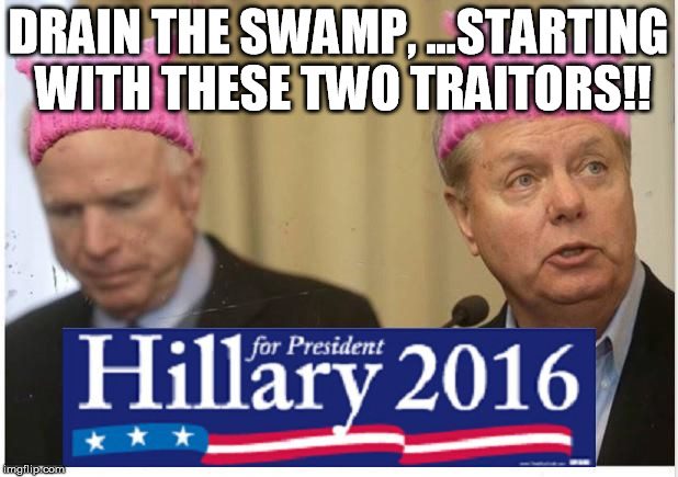 I'm with her 2 | DRAIN THE SWAMP, ...STARTING WITH THESE TWO TRAITORS!! | image tagged in im with her,john mccain,lindsey graham,hillary clinton 2016 | made w/ Imgflip meme maker