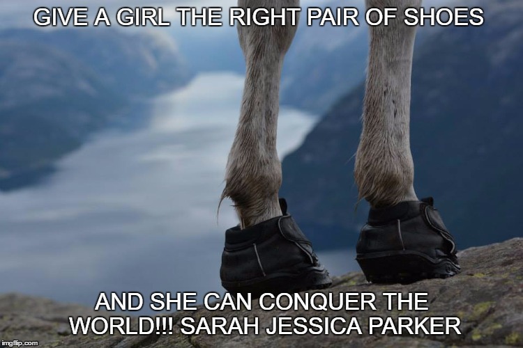 GIVE A GIRL THE RIGHT PAIR OF SHOES; AND SHE CAN CONQUER THE WORLD!!! SARAH JESSICA PARKER | image tagged in sarah jessica parker | made w/ Imgflip meme maker