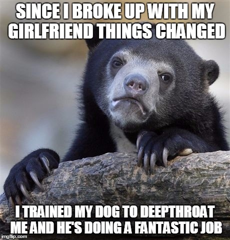 Confession Bear Meme | SINCE I BROKE UP WITH MY GIRLFRIEND THINGS CHANGED; I TRAINED MY DOG TO DEEPTHROAT ME AND HE'S DOING A FANTASTIC JOB | image tagged in memes,confession bear | made w/ Imgflip meme maker