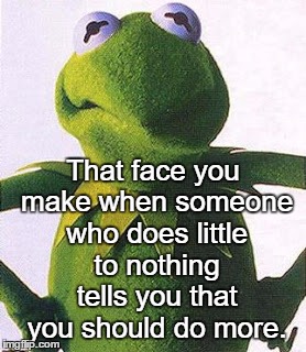 Angry Kermit | That face you make when someone who does little to nothing tells you that you should do more. | image tagged in angry kermit,kermit the frog | made w/ Imgflip meme maker