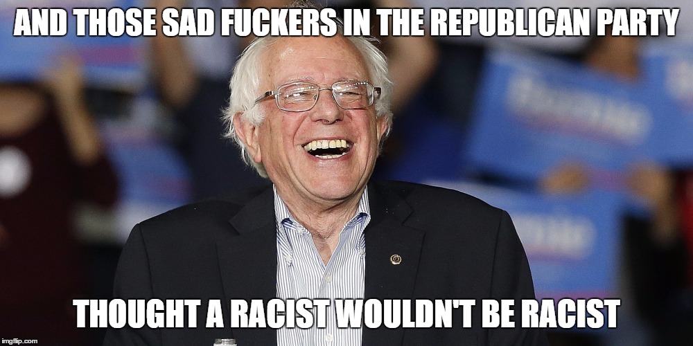 Bernie smiles | AND THOSE SAD FUCKERS IN THE REPUBLICAN PARTY; THOUGHT A RACIST WOULDN'T BE RACIST | image tagged in bernie smiles | made w/ Imgflip meme maker