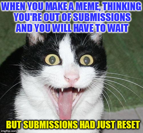 Also, it was my 300th submission, huzzah! | WHEN YOU MAKE A MEME, THINKING YOU'RE OUT OF SUBMISSIONS AND YOU WILL HAVE TO WAIT; BUT SUBMISSIONS HAD JUST RESET | image tagged in excited cat,memes,submission,imgflip,ideas,friends | made w/ Imgflip meme maker