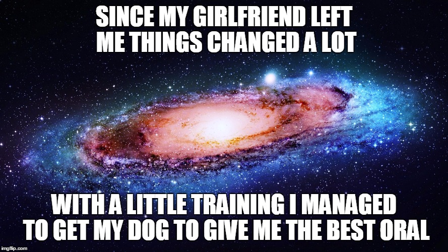 It's fun, it's legal where i live and i even return him the favor | SINCE MY GIRLFRIEND LEFT ME THINGS CHANGED A LOT; WITH A LITTLE TRAINING I MANAGED TO GET MY DOG TO GIVE ME THE BEST ORAL | image tagged in bestiality is okay as long as both partners enjoy,awoooo | made w/ Imgflip meme maker