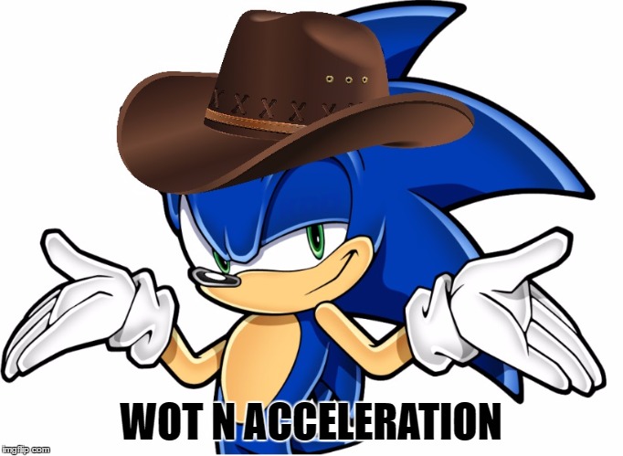 Wot N Acceleration | WOT N ACCELERATION | image tagged in wot n tarnation,sonic the hedgehog | made w/ Imgflip meme maker