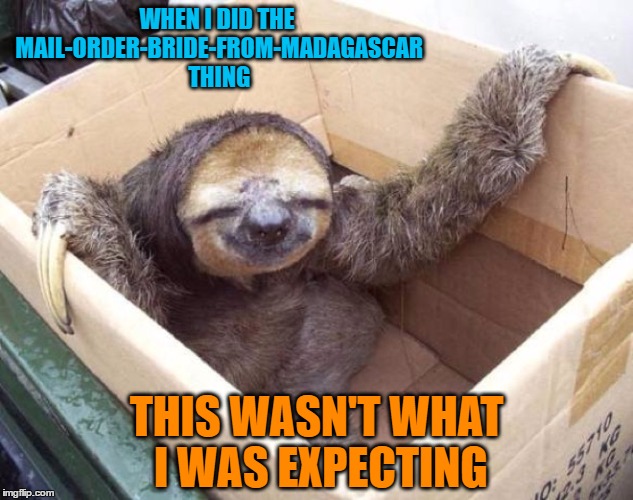 My Wife is a Real Sloth - Really | WHEN I DID THE MAIL-ORDER-BRIDE-FROM-MADAGASCAR THING; THIS WASN'T WHAT I WAS EXPECTING | image tagged in funny meme,funny animals,wmp,sloth,madagascar | made w/ Imgflip meme maker