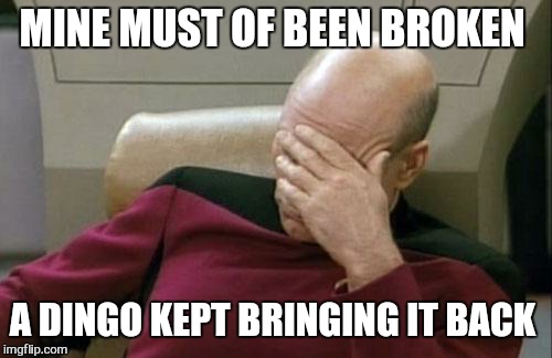 Captain Picard Facepalm Meme | MINE MUST OF BEEN BROKEN A DINGO KEPT BRINGING IT BACK | image tagged in memes,captain picard facepalm | made w/ Imgflip meme maker