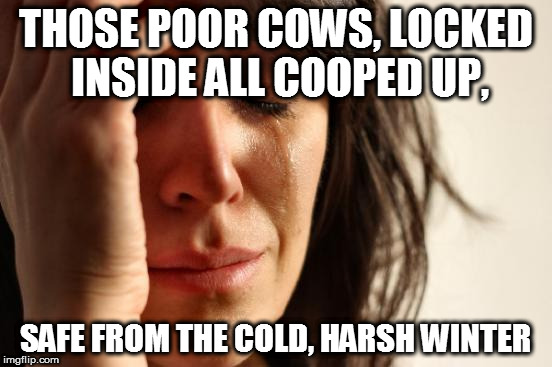 First World Problems Meme | THOSE POOR COWS, LOCKED INSIDE ALL COOPED UP, SAFE FROM THE COLD, HARSH WINTER | image tagged in memes,first world problems | made w/ Imgflip meme maker