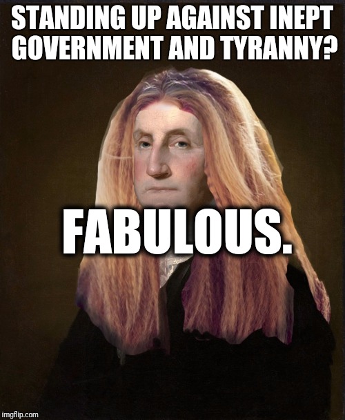 Fabulous freedom washington | STANDING UP AGAINST INEPT GOVERNMENT AND TYRANNY? FABULOUS. | image tagged in fabulous,freedom,washington,memes | made w/ Imgflip meme maker