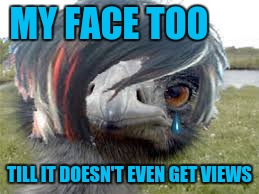 Emu Emu | MY FACE TOO TILL IT DOESN'T EVEN GET VIEWS | image tagged in emu emu | made w/ Imgflip meme maker