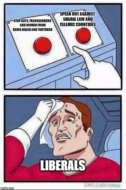 Two Buttons Meme | SPEAK OUT AGAINST SHARIA LAW AND ISLAMIC COUNTRIES; STOP GAYS, TRANSGENDERS AND WOMEN FROM BEING KILLED AND TORTURED; LIBERALS | image tagged in hard choice to make | made w/ Imgflip meme maker