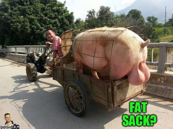 FAT SACK? | made w/ Imgflip meme maker