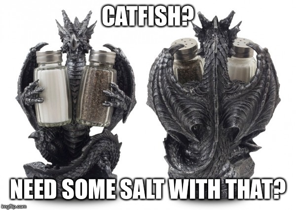CATFISH? NEED SOME SALT WITH THAT? | made w/ Imgflip meme maker