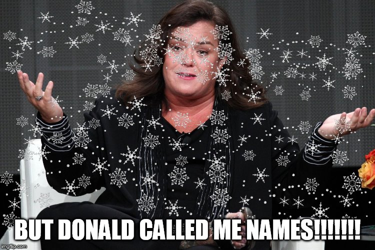 BUT DONALD CALLED ME NAMES!!!!!!! | made w/ Imgflip meme maker
