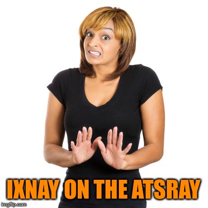 IXNAY ON THE ATSRAY | made w/ Imgflip meme maker