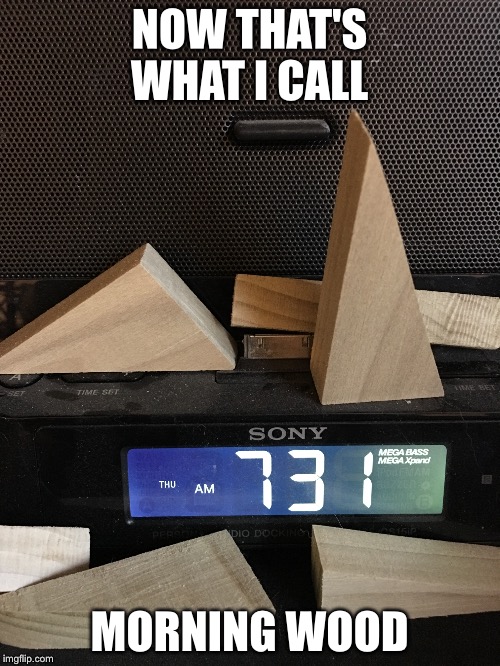 NOW THAT'S WHAT I CALL; MORNING WOOD | image tagged in wood | made w/ Imgflip meme maker