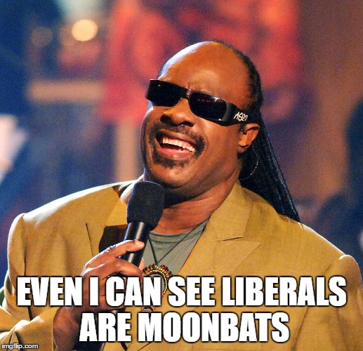 Stevie Wonder | EVEN I CAN SEE LIBERALS ARE MOONBATS | image tagged in stevie wonder | made w/ Imgflip meme maker