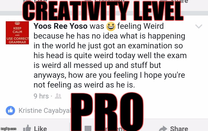 CREATIVITY LEVEL; PRO | image tagged in memes | made w/ Imgflip meme maker