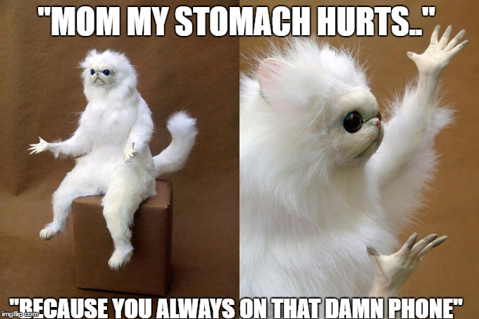 Persian Cat Room Guardian Meme | "MOM MY STOMACH HURTS.."; "BECAUSE YOU ALWAYS ON THAT DAMN PHONE" | image tagged in memes,persian cat room guardian | made w/ Imgflip meme maker