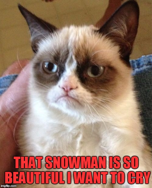 Grumpy Cat Meme | THAT SNOWMAN IS SO BEAUTIFUL I WANT TO CRY | image tagged in memes,grumpy cat | made w/ Imgflip meme maker