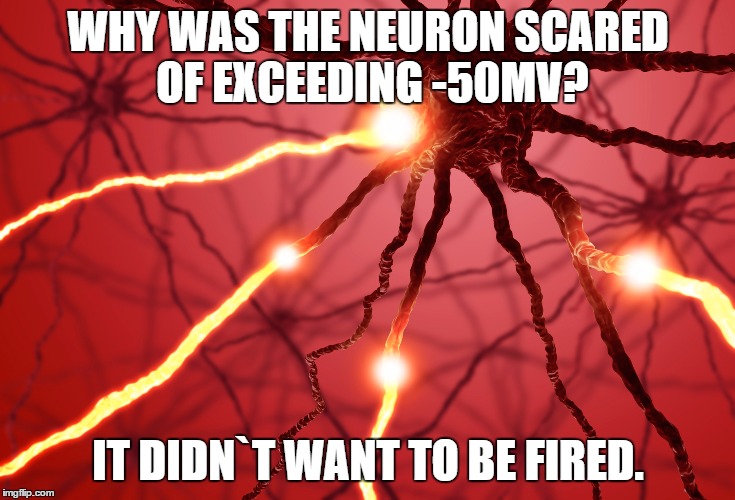 Neurons firing | WHY WAS THE NEURON SCARED OF EXCEEDING -50MV? IT DIDN`T WANT TO BE FIRED. | image tagged in neurons firing | made w/ Imgflip meme maker