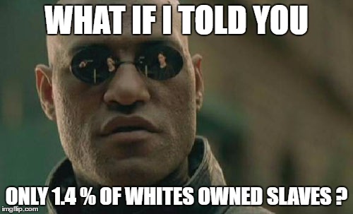 Matrix Morpheus Meme | WHAT IF I TOLD YOU; ONLY 1.4 % OF WHITES OWNED SLAVES ? | image tagged in memes,matrix morpheus | made w/ Imgflip meme maker