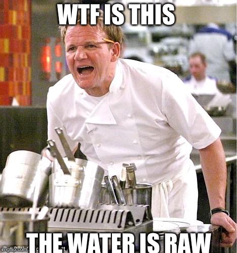 Chef Gordon Ramsay | WTF IS THIS; THE WATER IS RAW | image tagged in memes,chef gordon ramsay | made w/ Imgflip meme maker