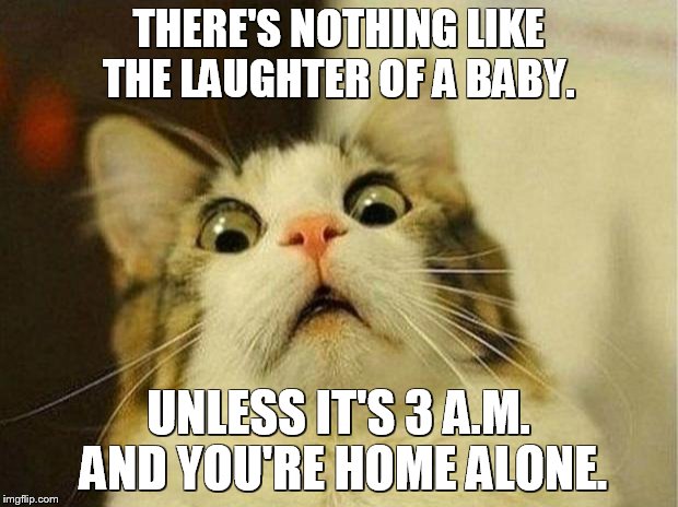 Scared Cat Meme | THERE'S NOTHING LIKE THE LAUGHTER OF A BABY. UNLESS IT'S 3 A.M. AND YOU'RE HOME ALONE. | image tagged in memes,scared cat | made w/ Imgflip meme maker