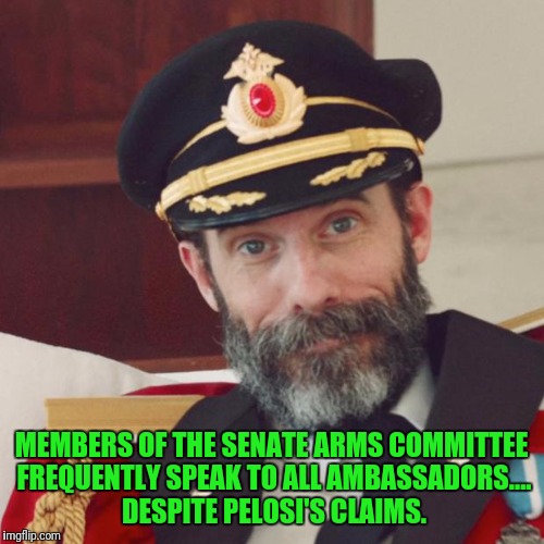 Dems are relying on you being uneducated | MEMBERS OF THE SENATE ARMS COMMITTEE FREQUENTLY SPEAK TO ALL AMBASSADORS.... DESPITE PELOSI'S CLAIMS. | image tagged in captain obvious | made w/ Imgflip meme maker