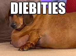 fat dog | DIEBITIES | image tagged in fat dog | made w/ Imgflip meme maker