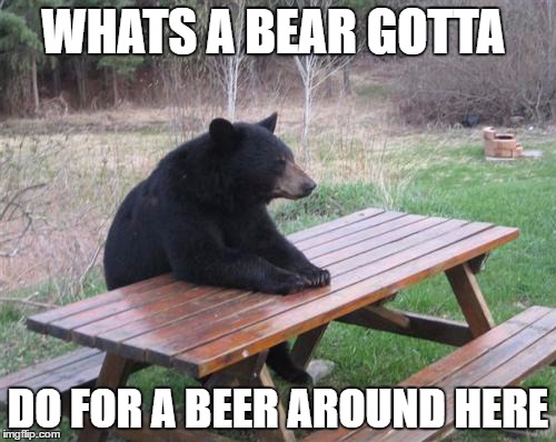 Bad Luck Bear | WHATS A BEAR GOTTA; DO FOR A BEER AROUND HERE | image tagged in memes,bad luck bear | made w/ Imgflip meme maker