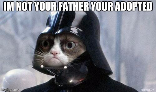 Grumpy Cat Star Wars | IM NOT YOUR FATHER YOUR ADOPTED | image tagged in memes,grumpy cat star wars,grumpy cat | made w/ Imgflip meme maker