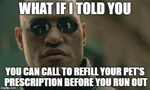 Matrix Morpheus Meme | WHAT IF I TOLD YOU; YOU CAN CALL TO REFILL YOUR PET'S PRESCRIPTION BEFORE YOU RUN OUT | image tagged in memes,matrix morpheus | made w/ Imgflip meme maker