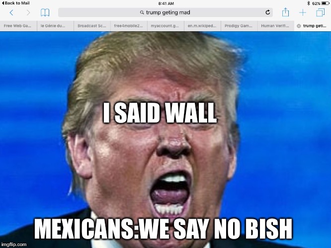 I SAID WALL; MEXICANS:WE SAY NO BISH | image tagged in trump | made w/ Imgflip meme maker