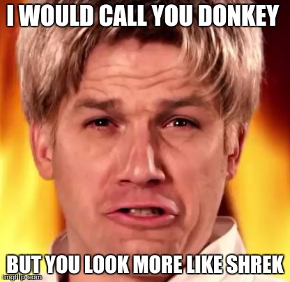 I WOULD CALL YOU DONKEY; BUT YOU LOOK MORE LIKE SHREK | image tagged in donkey shrek | made w/ Imgflip meme maker