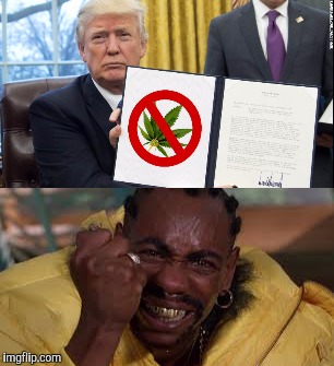 STICKYICKYTRICKY | . | image tagged in weed,donald trump,dave chappelle,funny | made w/ Imgflip meme maker