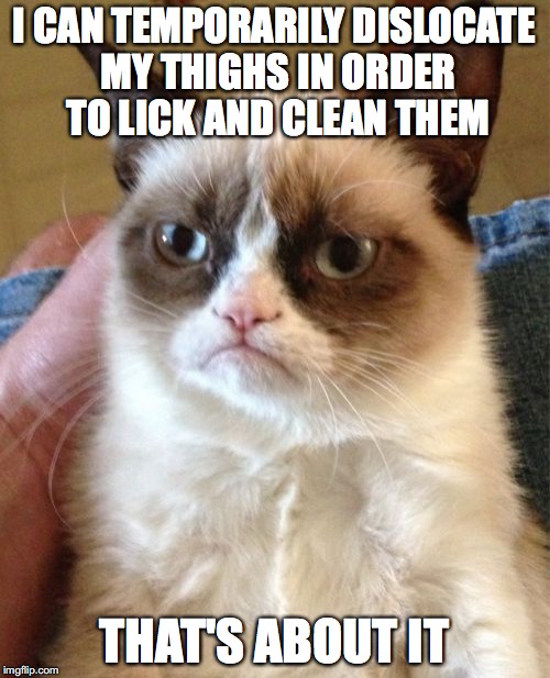Grumpy Cat Meme | I CAN TEMPORARILY DISLOCATE MY THIGHS IN ORDER TO LICK AND CLEAN THEM; THAT'S ABOUT IT | image tagged in memes,grumpy cat | made w/ Imgflip meme maker