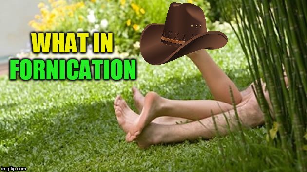 What In Tarnation Are They Doing? | . | image tagged in what in tarnation,what-in-tarnation,memes,trends,funny memes,love | made w/ Imgflip meme maker
