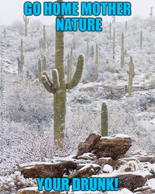 Mama's been at the booze again... | GO HOME MOTHER NATURE; YOUR DRUNK! | image tagged in go home mother nature,your drunk,go home youre drunk | made w/ Imgflip meme maker