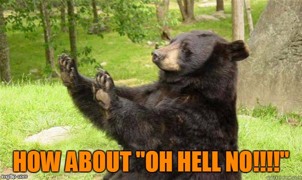 No Bear Blank | HOW ABOUT "OH HELL NO!!!!" | image tagged in no bear blank | made w/ Imgflip meme maker
