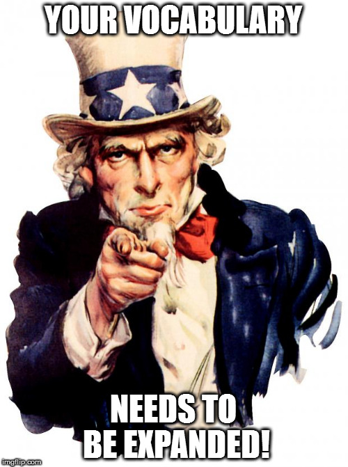 Uncle Sam Meme | YOUR VOCABULARY; NEEDS TO BE EXPANDED! | image tagged in memes,uncle sam | made w/ Imgflip meme maker