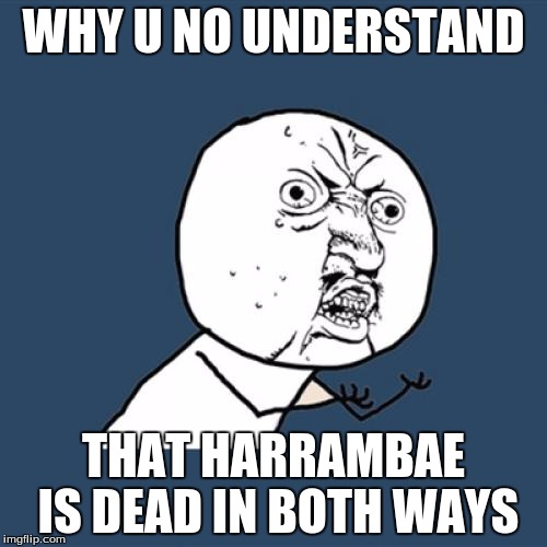 Y U No Meme | WHY U NO UNDERSTAND; THAT HARRAMBAE IS DEAD IN BOTH WAYS | image tagged in memes,y u no | made w/ Imgflip meme maker