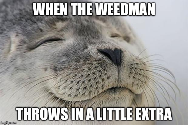 Satisfied Seal | WHEN THE WEEDMAN; THROWS IN A LITTLE EXTRA | image tagged in memes,satisfied seal | made w/ Imgflip meme maker