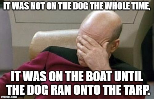 IT WAS NOT ON THE DOG THE WHOLE TIME, IT WAS ON THE BOAT UNTIL THE DOG RAN ONTO THE TARP. | image tagged in memes,captain picard facepalm | made w/ Imgflip meme maker