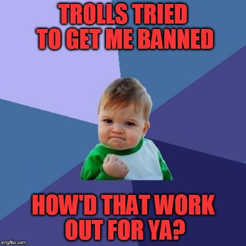 Success Kid | TROLLS TRIED TO GET ME BANNED; HOW'D THAT WORK OUT FOR YA? | image tagged in memes,success kid | made w/ Imgflip meme maker