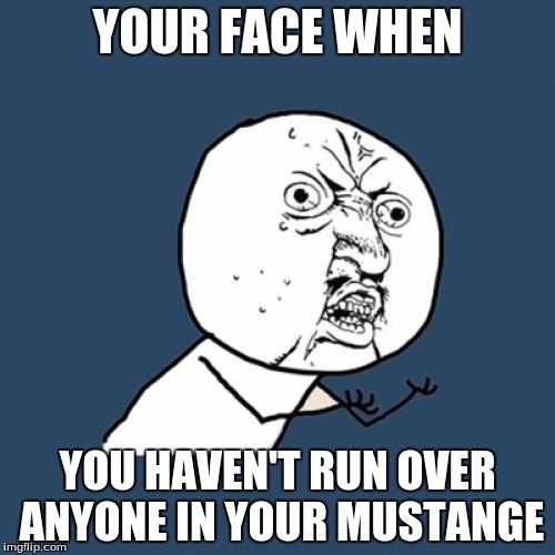 Y U No Meme | YOUR FACE WHEN; YOU HAVEN'T RUN OVER ANYONE IN YOUR MUSTANGE | image tagged in memes,y u no | made w/ Imgflip meme maker