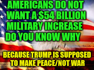 American Flag | AMERICANS DO NOT WANT A $54 BILLION MILITARY INCREASE     DO YOU KNOW WHY; BECAUSE TRUMP IS SUPPOSED TO MAKE PEACE/NOT WAR | image tagged in american flag | made w/ Imgflip meme maker
