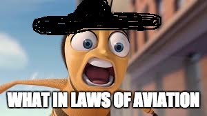 What in tarnation? | WHAT IN LAWS OF AVIATION | image tagged in memes,bee movie,what in tarnation,funny,dank memes | made w/ Imgflip meme maker