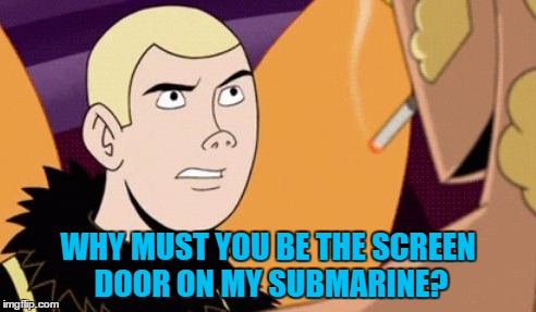 WHY MUST YOU BE THE SCREEN DOOR ON MY SUBMARINE? | made w/ Imgflip meme maker